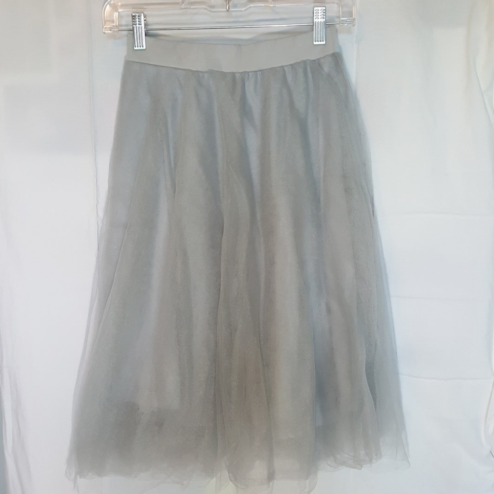 Gray Tulle Skirt